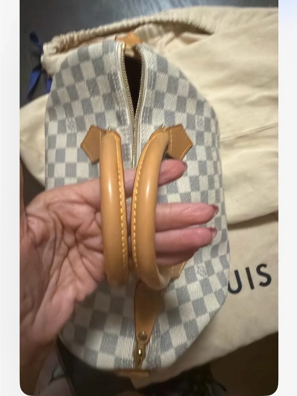 Louis Vuitton Speedy 30 Azure